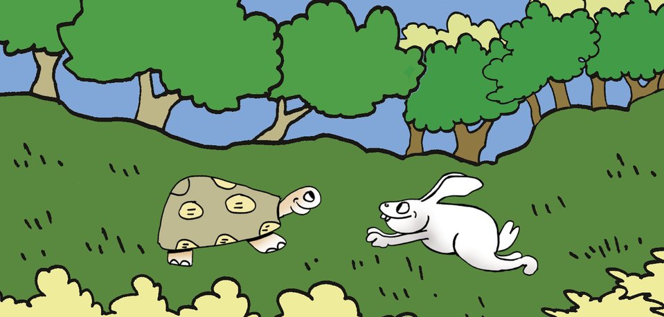 The Tortoise and The Rabbit