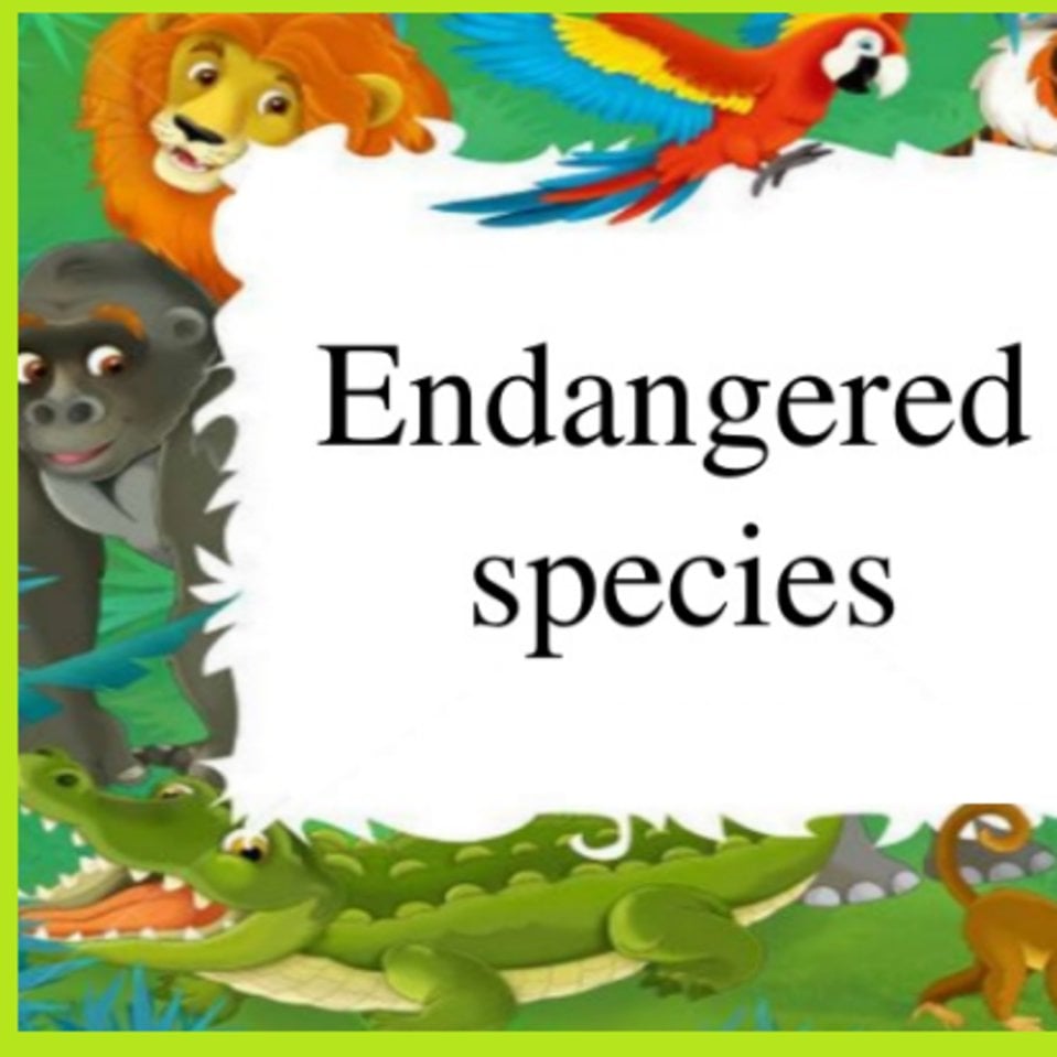 endangered species essay for grade 5