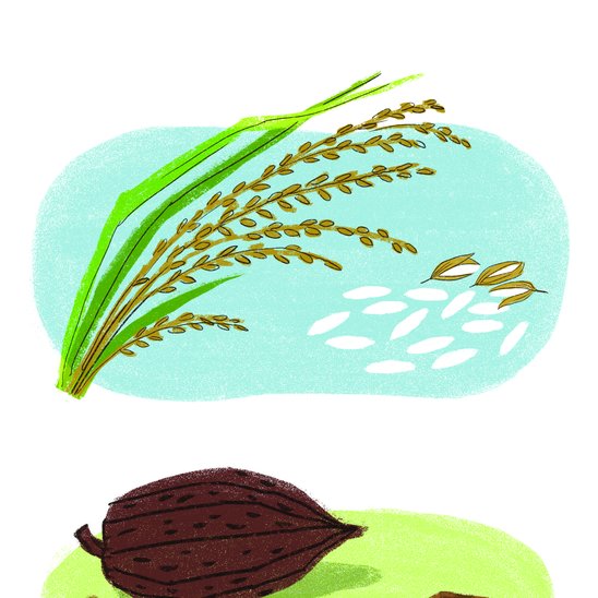 Digital Library of Stories for Kids Stories Storyweaver