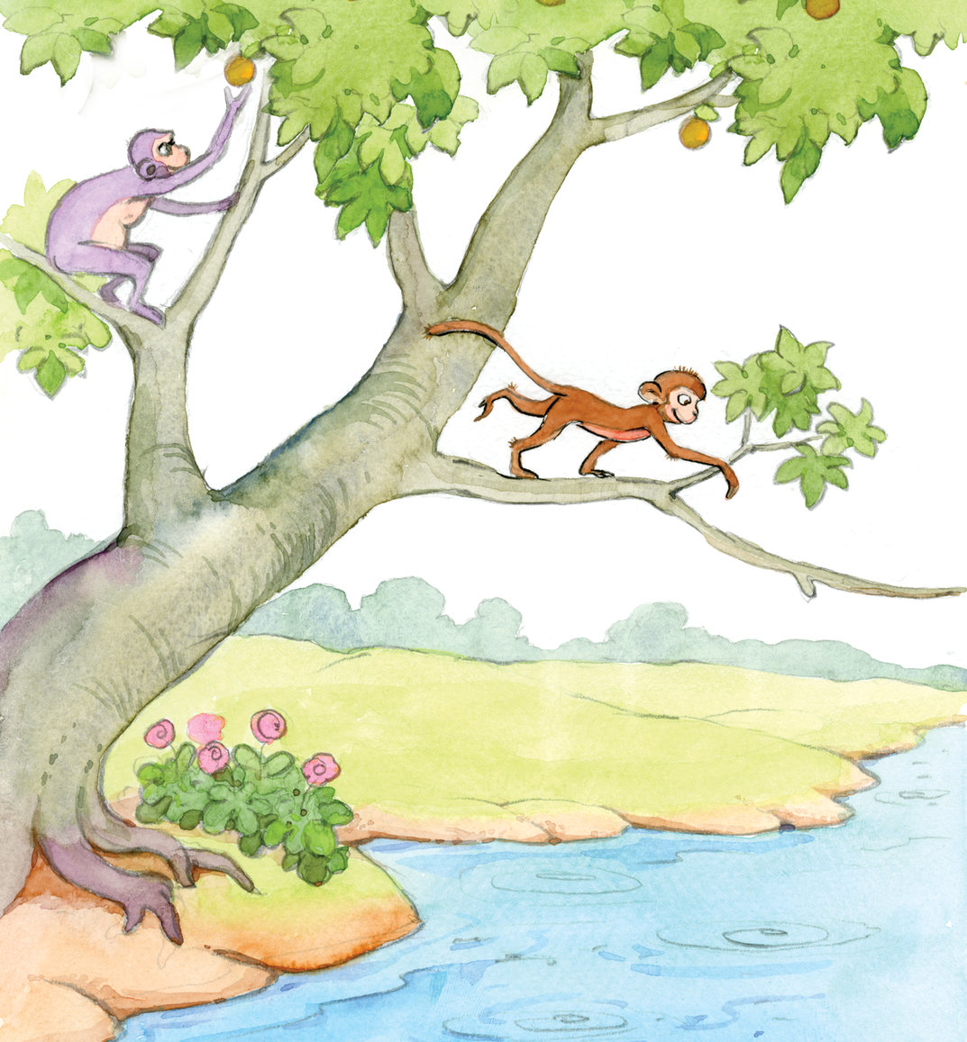 Two monkeys on a tree overlooking a river - StoryWeaver