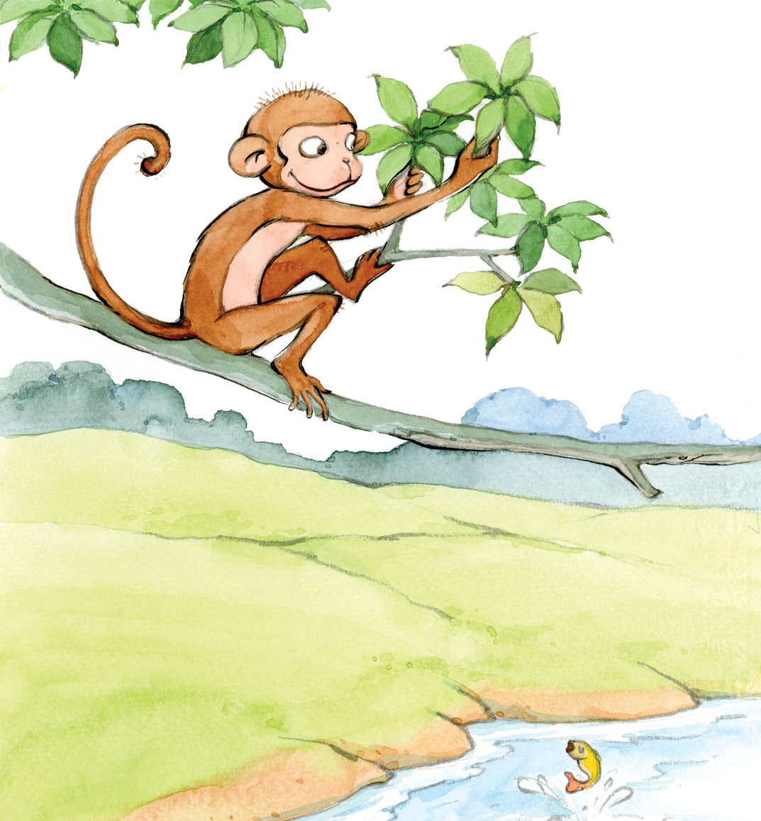 Monkey in a Tree with a Hat Coloring Page · Creative Fabrica