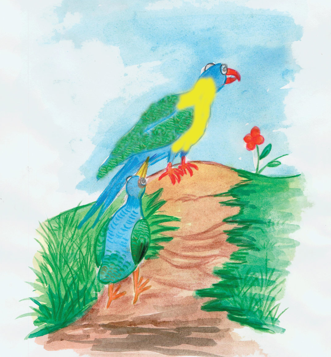 Parrot Drawing - Etsy