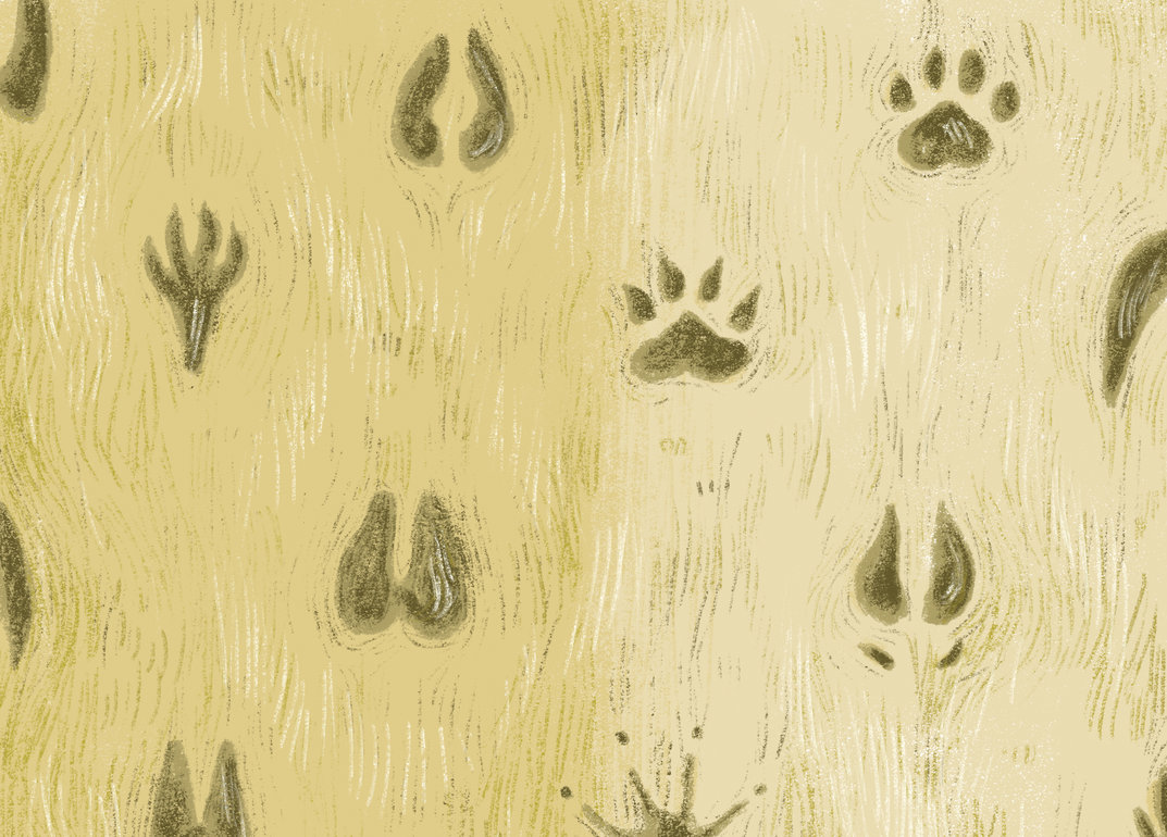 Digital Library of Stories for Kids | Stories | Storyweaver