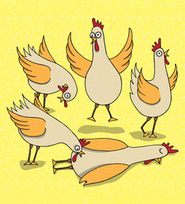 Chickens looking at a sleeping chicken - StoryWeaver