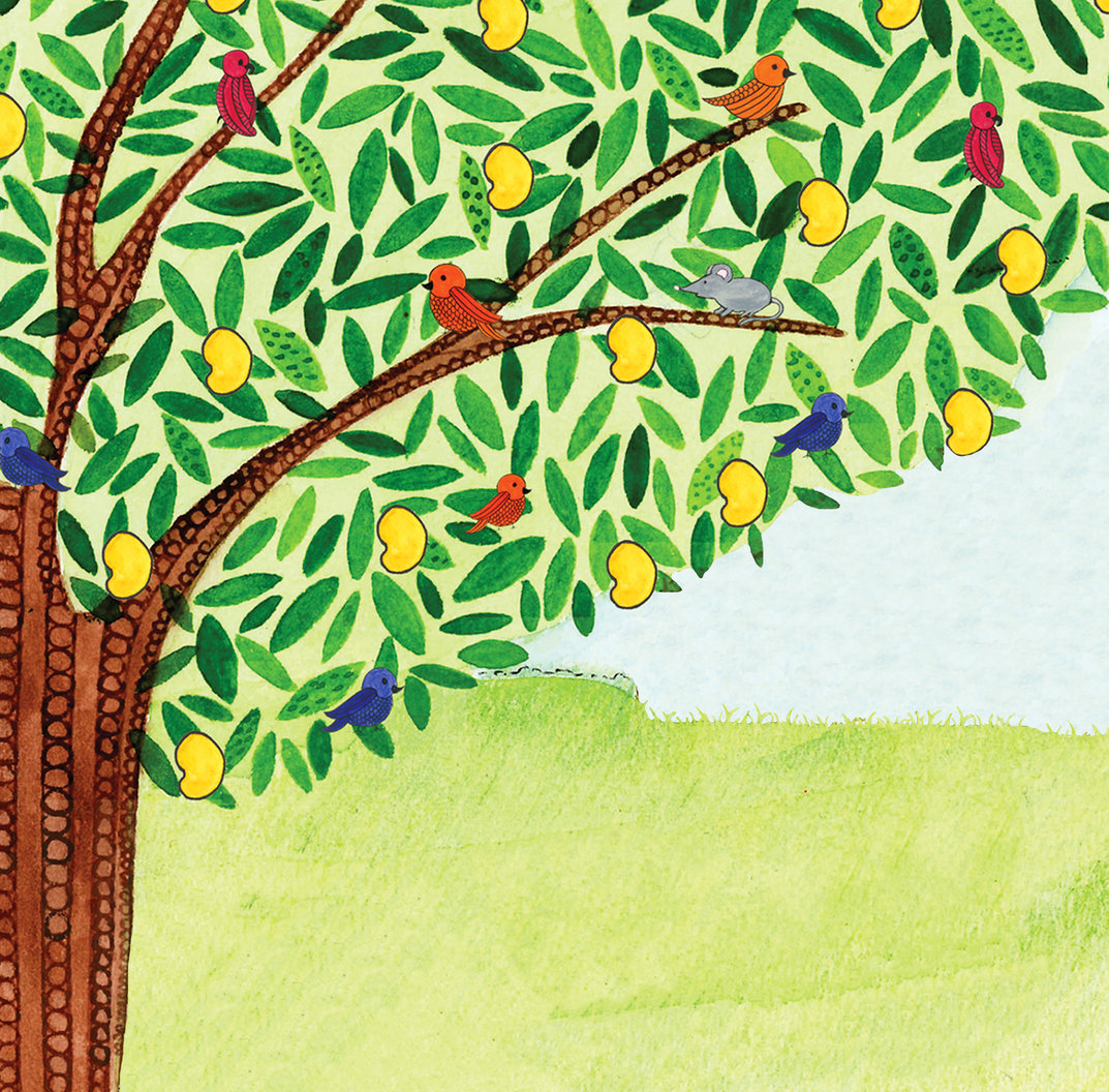 A beautiful mango tree giving shelter to birds - StoryWeaver
