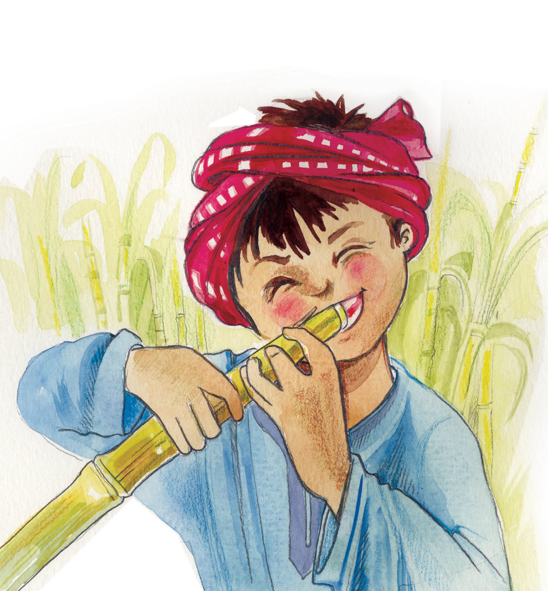 A girl chewing on a sugarcane - StoryWeaver