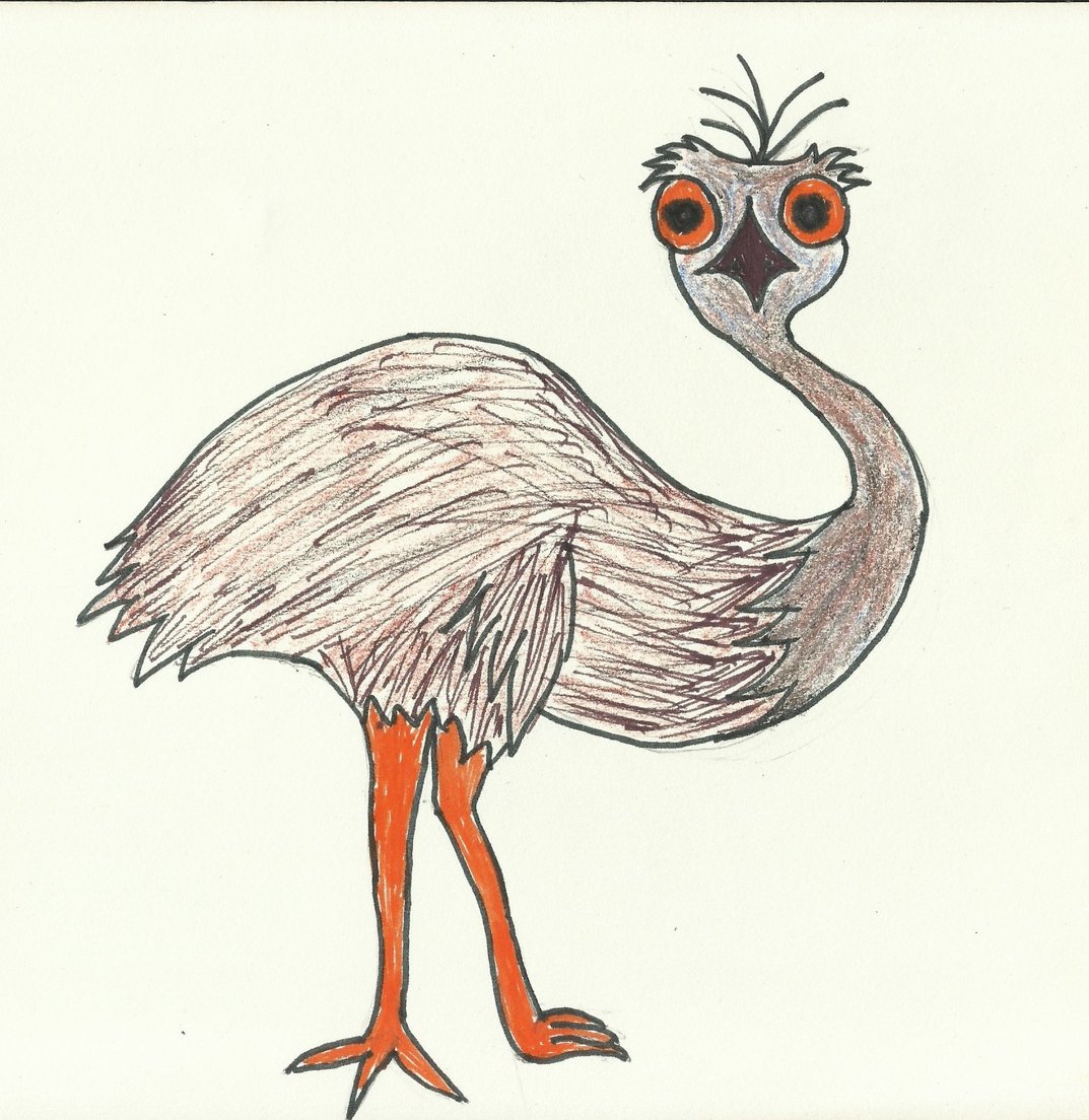 Emu - StoryWeaver