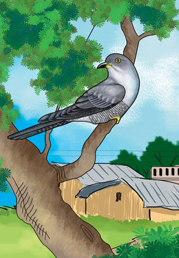 Bird In A Tree Drawing PNG Image With Transparent Background | TOPpng