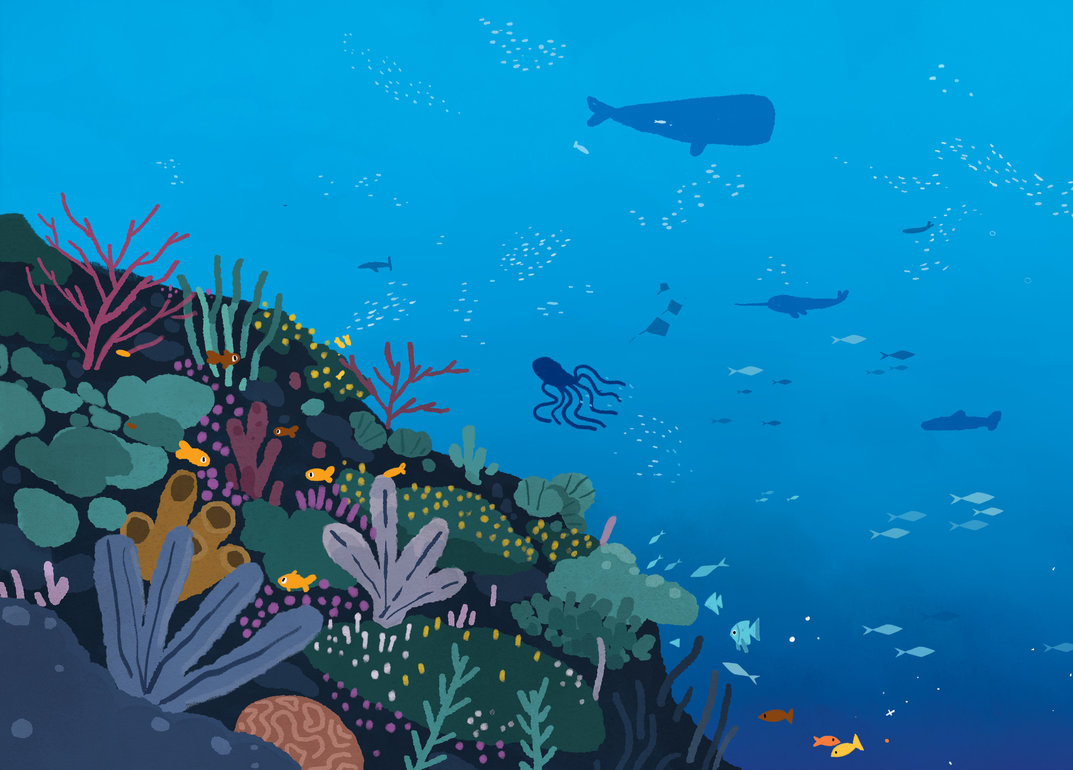 Underwater landscape of reefs and aquatic plants and animals - StoryWeaver