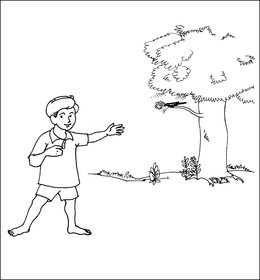 Boy Pointing At Bird In A Tree Black And White Storyweaver
