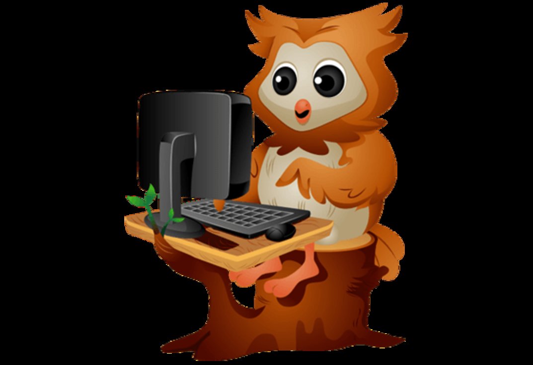 Parrot Owl coding in Laptop - StoryWeaver